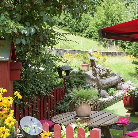 Gite Chez Mimie Breitenbach-Haut-Rhin Eksteriør bilde