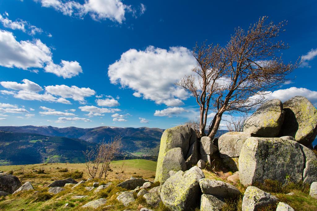Gite Chez Mimie Breitenbach-Haut-Rhin Eksteriør bilde