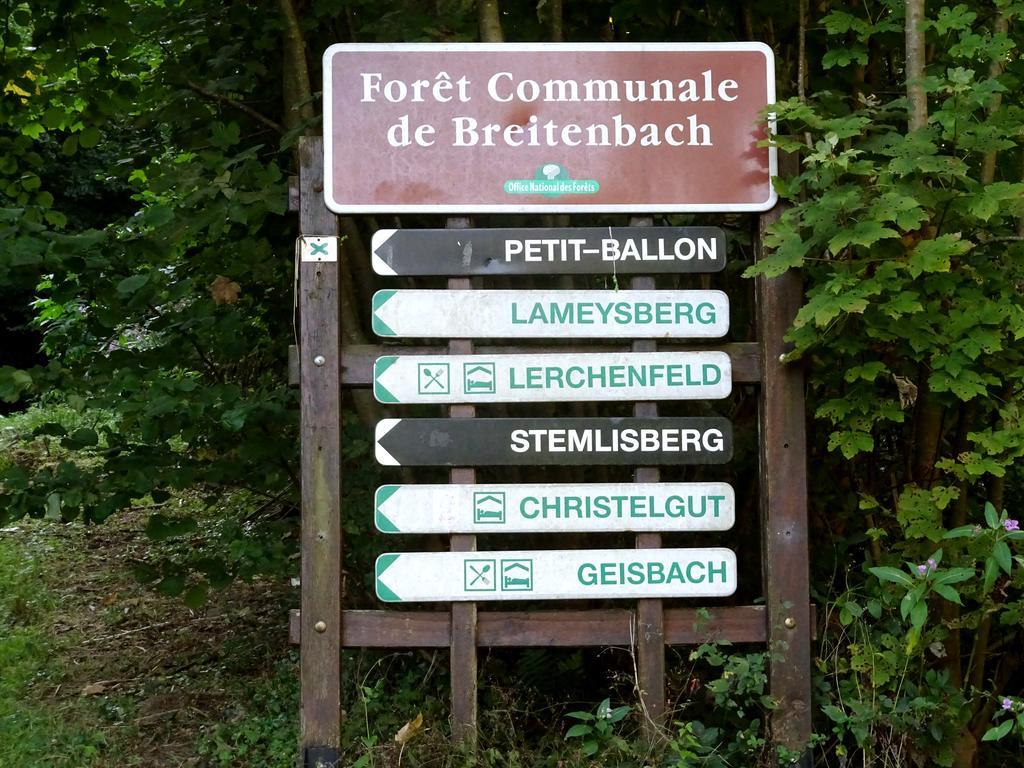 Gite Chez Mimie Breitenbach-Haut-Rhin Eksteriør bilde