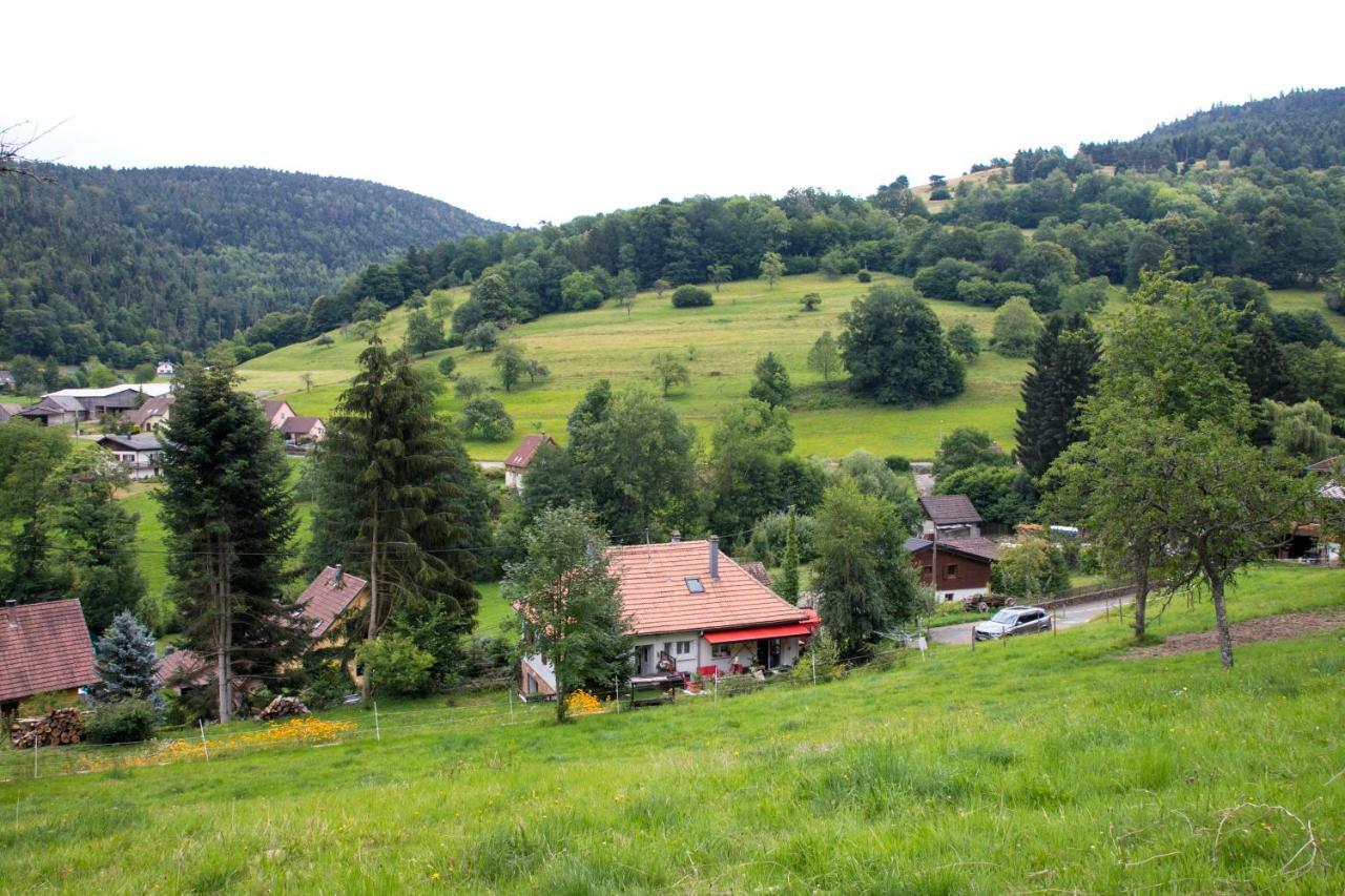 Gite Chez Mimie Breitenbach-Haut-Rhin Eksteriør bilde