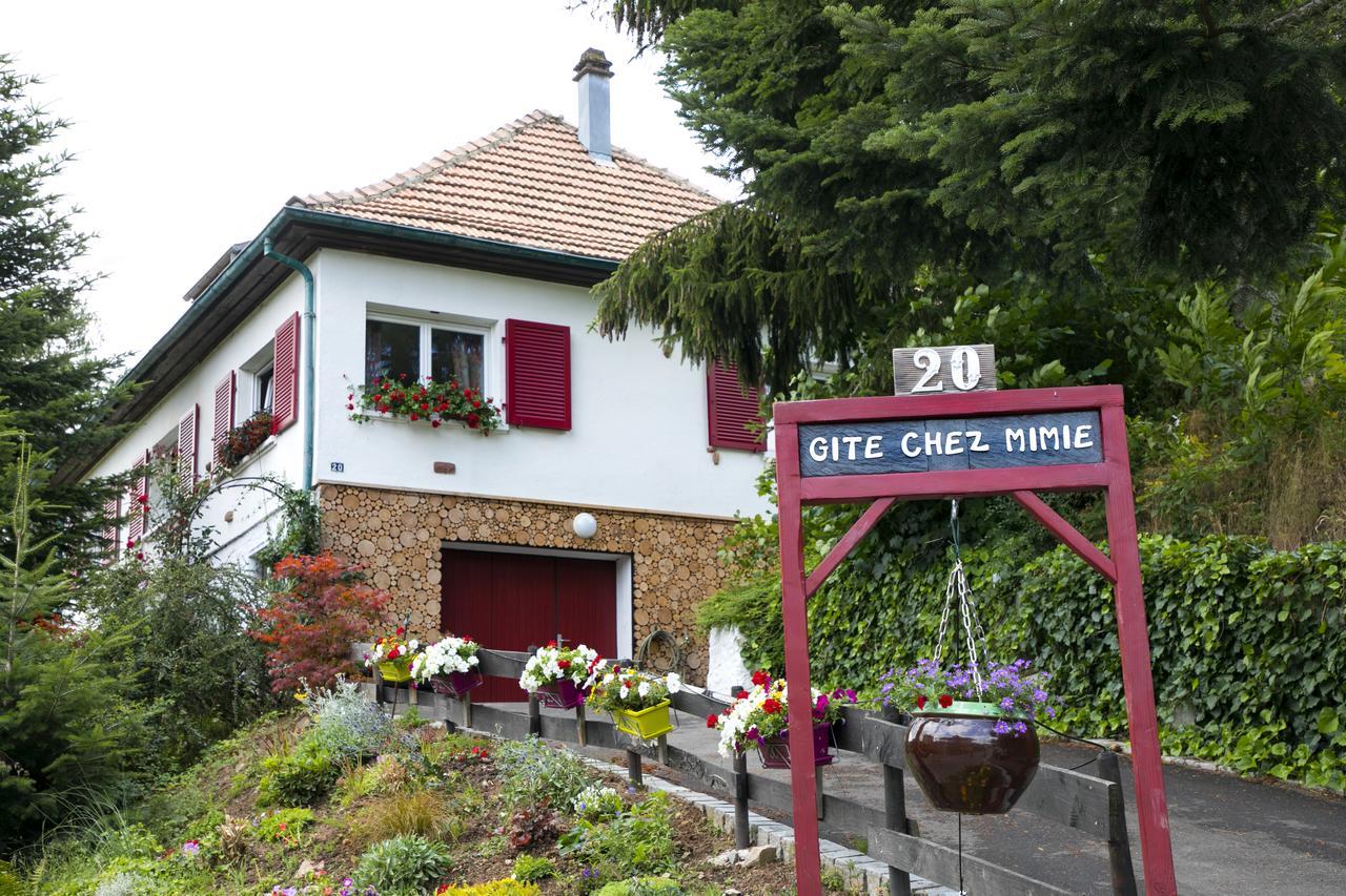 Gite Chez Mimie Breitenbach-Haut-Rhin Eksteriør bilde