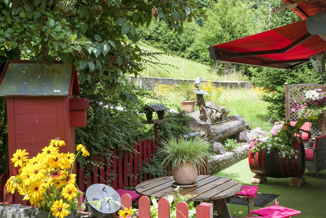 Gite Chez Mimie Breitenbach-Haut-Rhin Eksteriør bilde